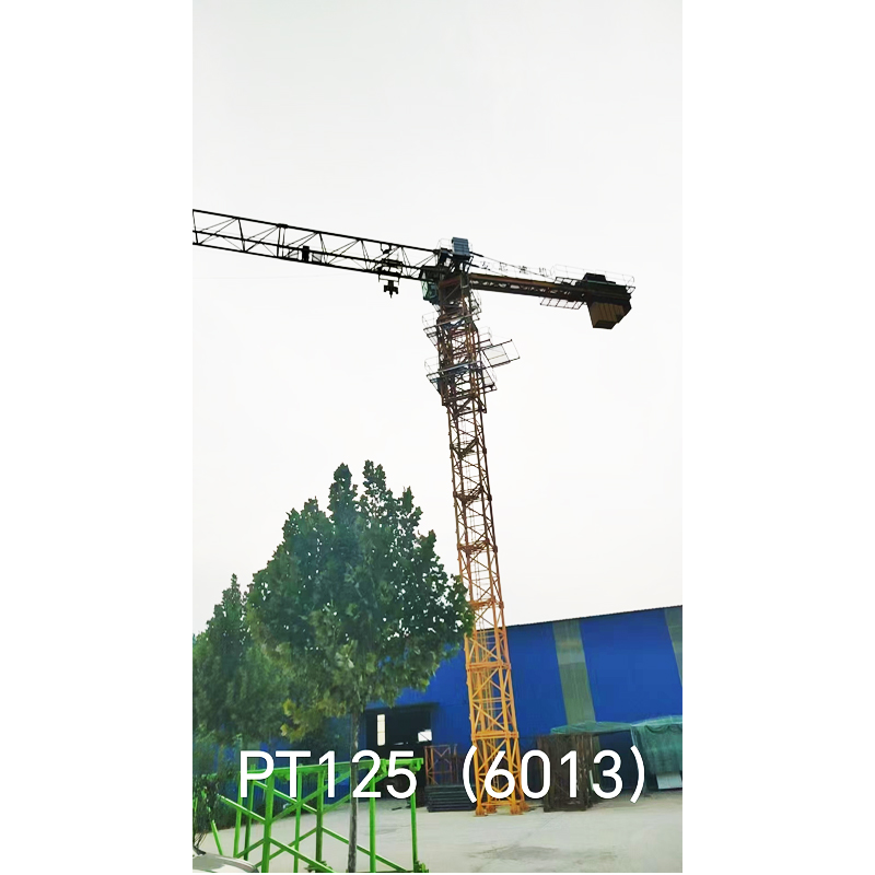 Anqi QTZP100（6013）